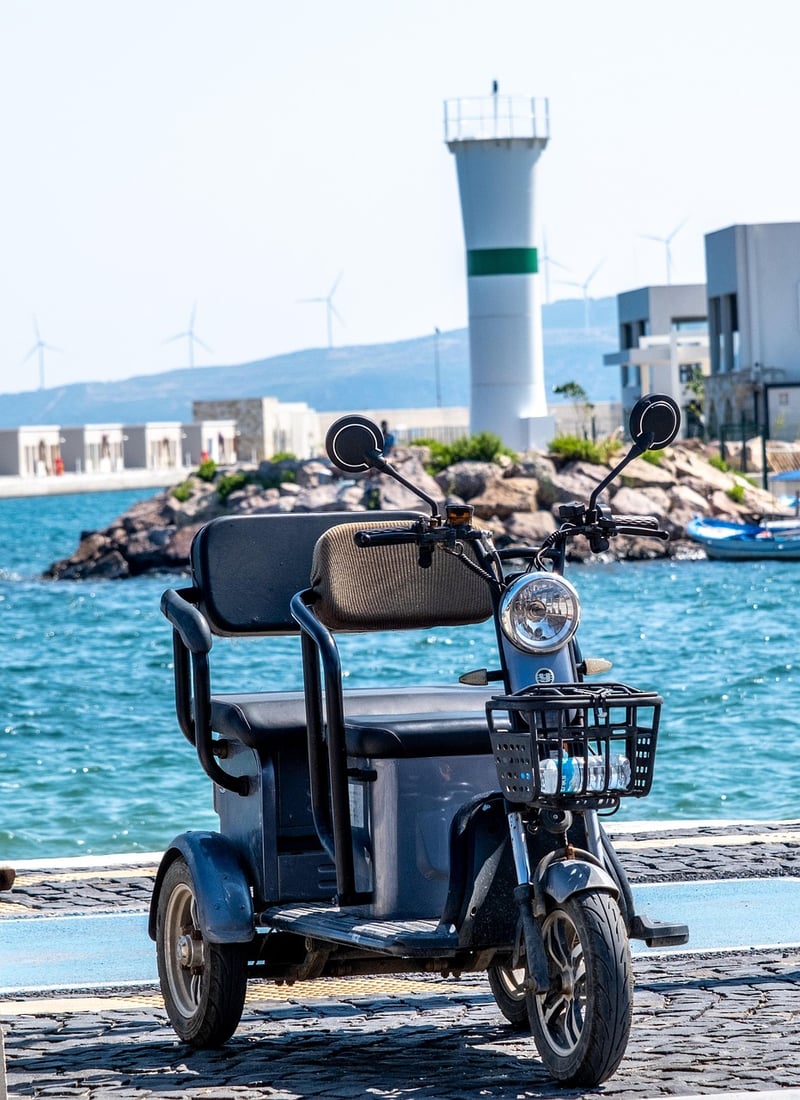 Electric Vehicles